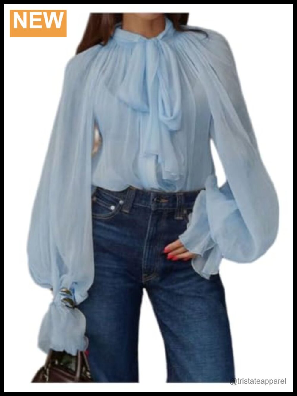 Floerns Womens Elegant Lantern Sleeve Chiffon Blouse Bow Tie Neck Sheer Dressy